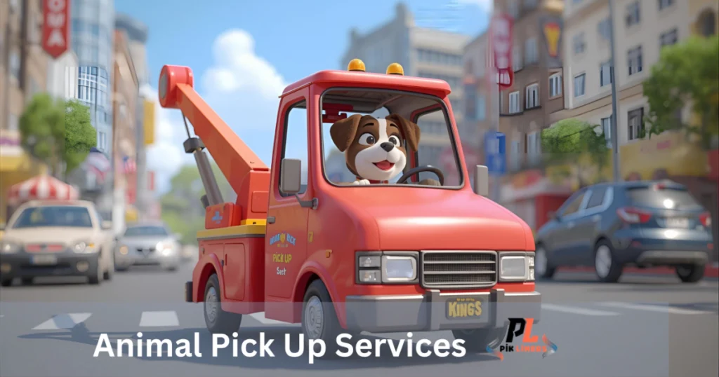 Animal Pick Up Services