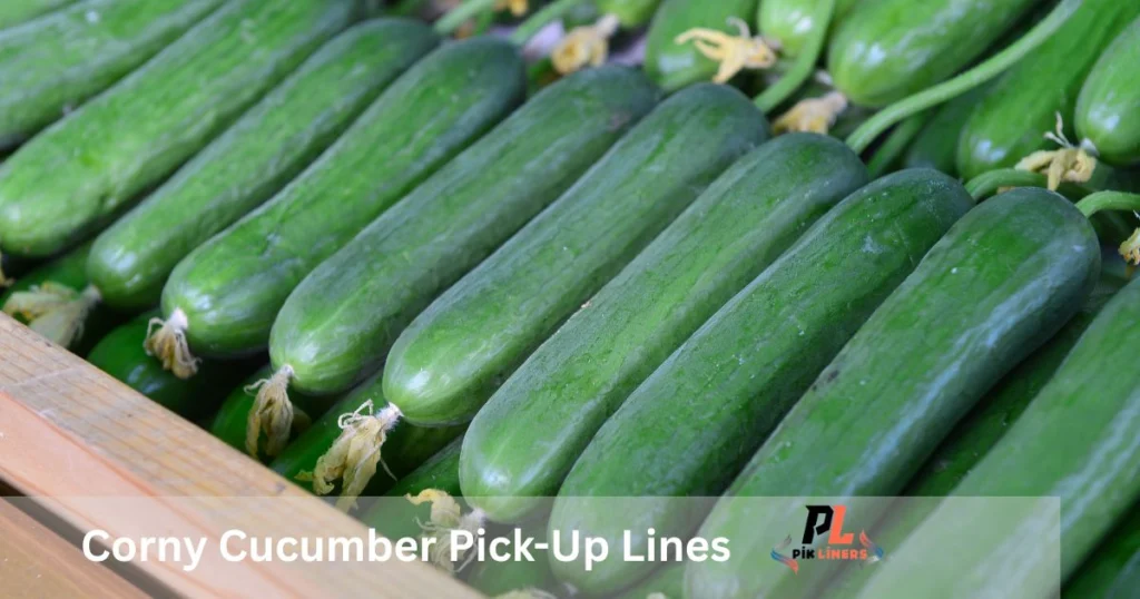 Corny Cucumber Pick-Up Lines