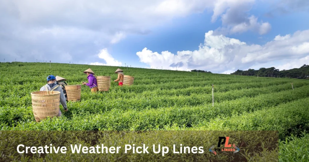 Creative Weather Pick Up Lines