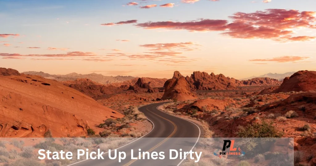 State Pick Up Lines Dirty