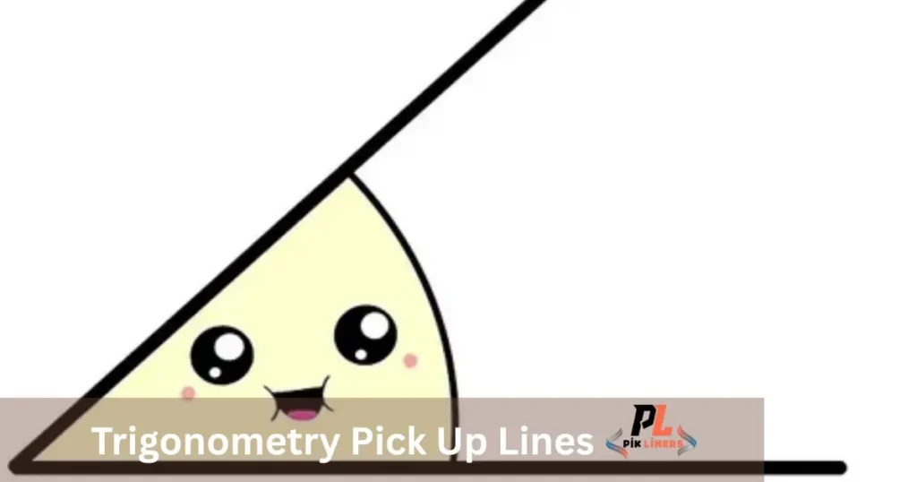 Trigonometry Pick Up Lines