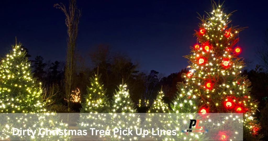 Dirty Christmas Tree Pick Up Lines