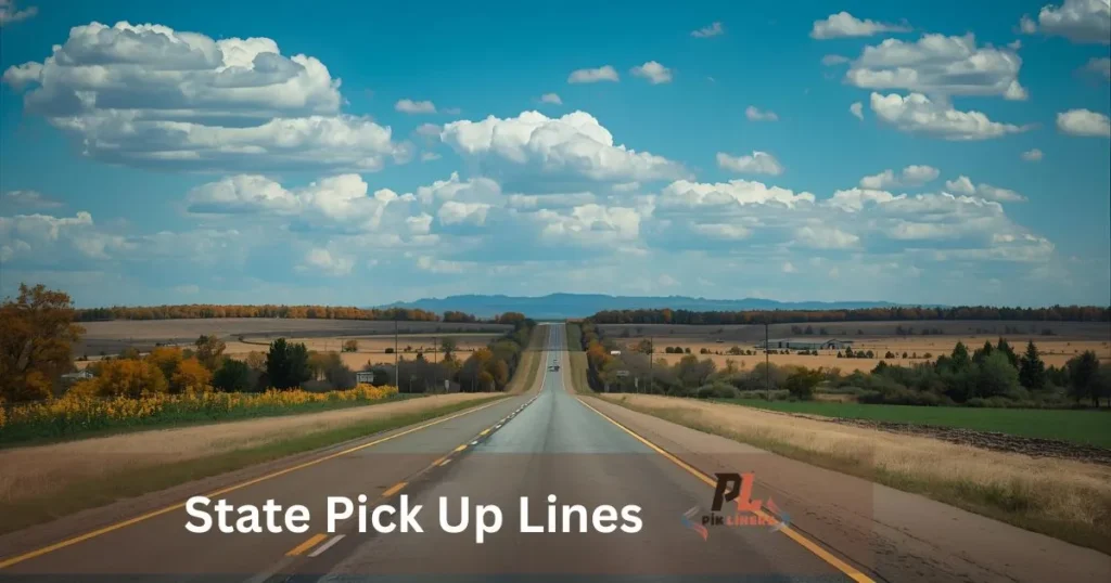 State Pick Up Lines
