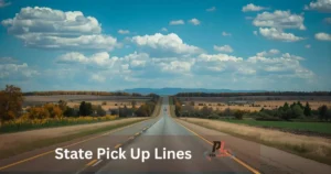 State Pick Up Lines